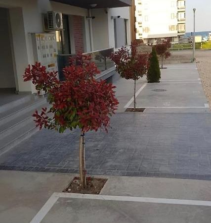 Mamaia Nord Apartament 18 Нэводари Экстерьер фото